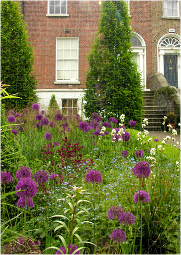 Wellington Garden 3